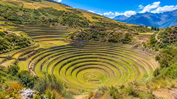 Moray Concentric Terraces